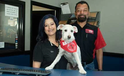 One Stop Auto Care Dog